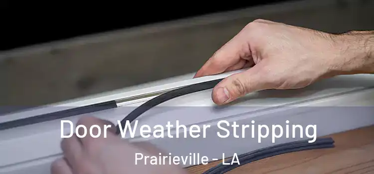  Door Weather Stripping Prairieville - LA