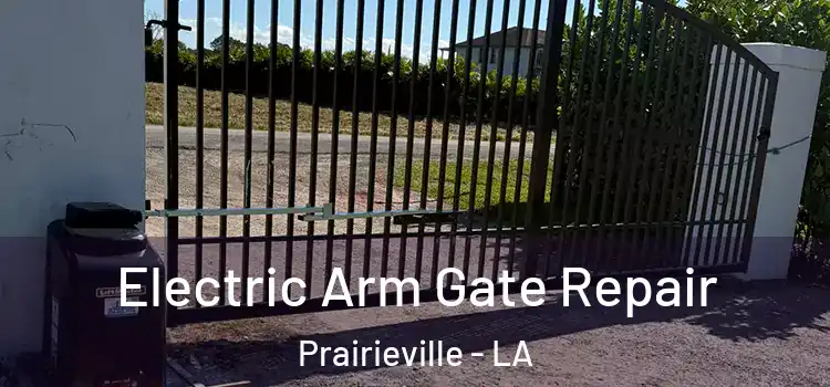  Electric Arm Gate Repair Prairieville - LA