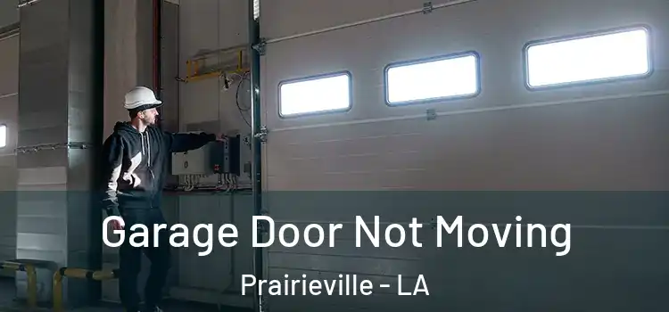  Garage Door Not Moving Prairieville - LA