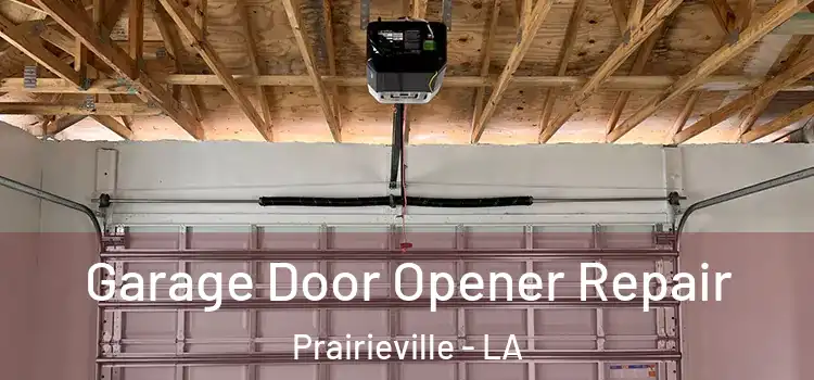  Garage Door Opener Repair Prairieville - LA