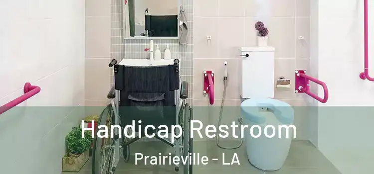 Handicap Restroom Prairieville - LA