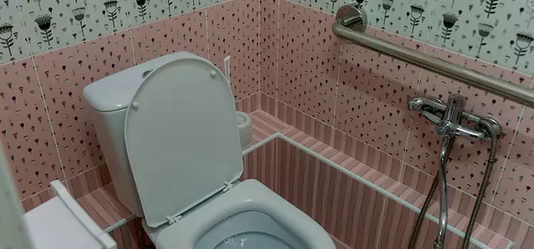 Meeting Diverse Needs With Accessible Restroom Solutions in Prairieville, LA