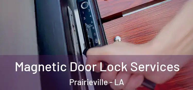  Magnetic Door Lock Services Prairieville - LA