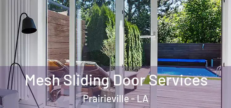  Mesh Sliding Door Services Prairieville - LA
