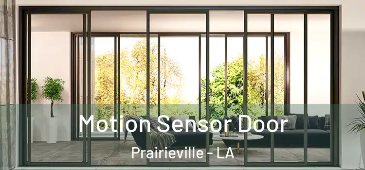 Motion Sensor Door Prairieville - LA