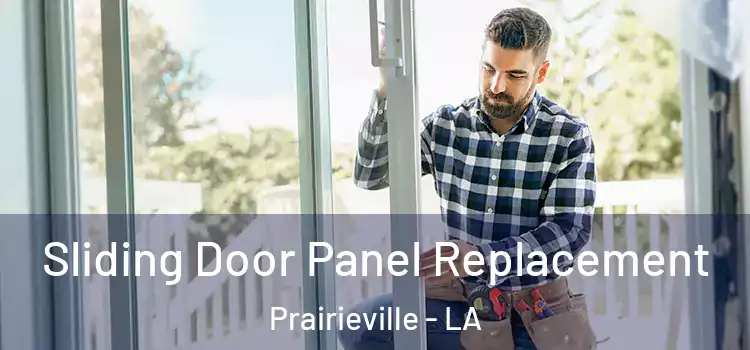  Sliding Door Panel Replacement Prairieville - LA